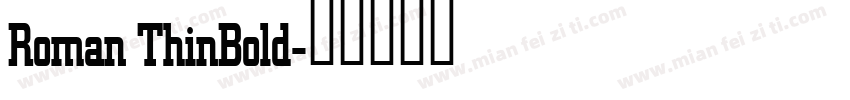 Roman ThinBold字体转换